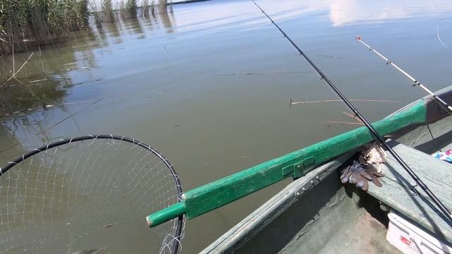 Рыбалка на реке Маныч. Ловля с лодок на поплавок.