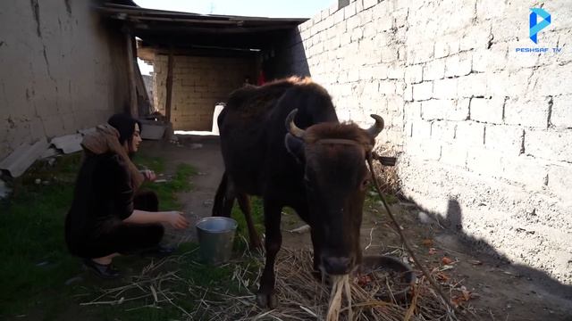 «Бонуи пурҳунар» бо иштироки Осия смотреть онлайн