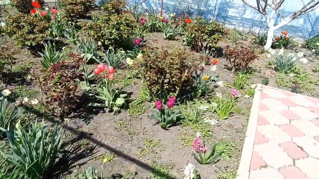 Кирпичный дом, общая площадь 119,3 кв. м. Земельный участок 19 соток. смотреть онлайн