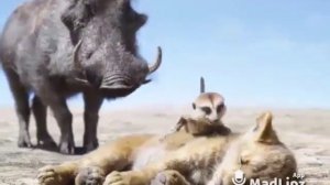 Тимон и Пумба прикол😜