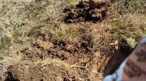 РИМ, СКИФЫ ...Мои СУПЕР находки за один коп.  СМОТРЕТЬ ДО КОНЦА.