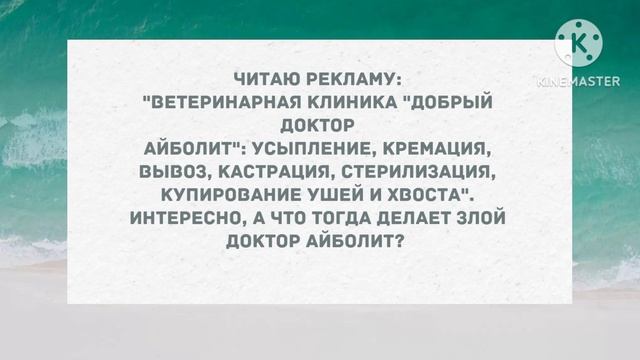 В постели с генеральшей. Сборник свежих анекдотов! Юмор! смотреть онлайн