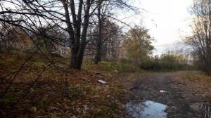 Петергоф осеняя прогулка в небольшой шторм..