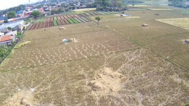 Drone mjx bugs 20 eis, wajib beli ‼️‼️‼️ смотреть онлайн