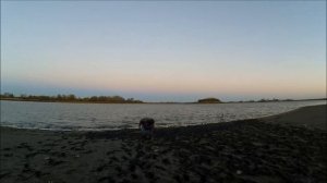 РЫБАЛКА НА ДОНУ- НА РЫБЦА!!!