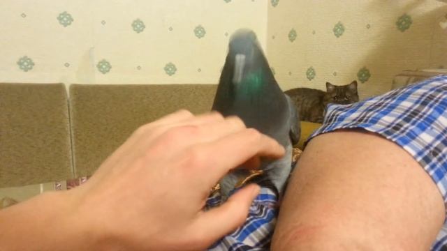 Теплая атмосфера или почти все в сборе