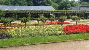 посещение ботанического сада золинген