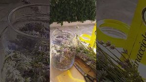Масло лаванды в домашних условиях!