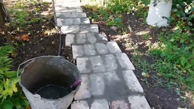 Садовые дорожки из кирпича, своими руками. смотреть онлайн