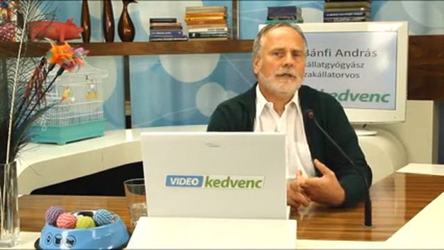 Adhatunk-e fűszeres ételmaradékot a kutyának? смотреть онлайн