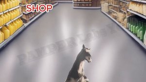 13  Horse "Neigh" Sound Variations in 30 Seconds