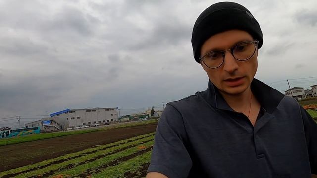 Её вырастили - Чтобы Выкинуть. В Японии странные требования при сборе урожая.