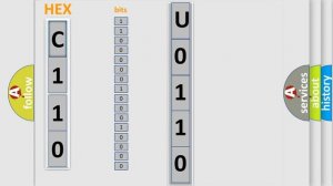 DTC Honda U0110 Short Explanation