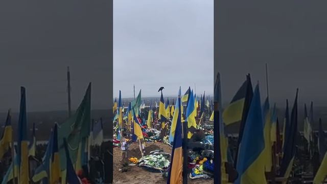 Кладбище во Львовской области, +8.000 могил за неделю.mp4
