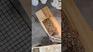 урок 4. проверяем готовность хлеба