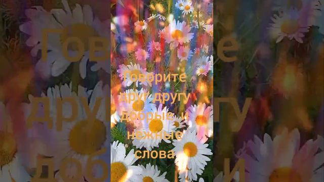 С днём свадьбы! смотреть онлайн