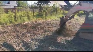 Выкорчёвка, расчистка, выравнивание участка, вывоз мусора