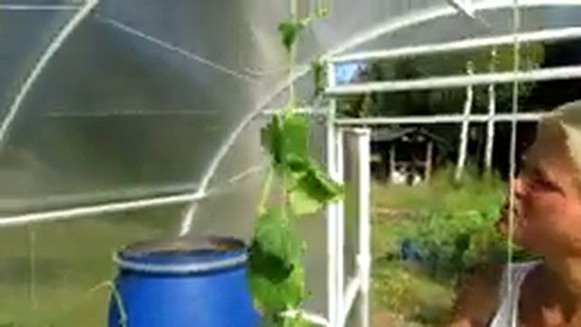 Маленькие секреты от начинающей огородницы смотреть онлайн