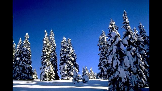 Хроники Нарнии Лев колдунья и платяной шкаф глава 04 смотреть онлайн