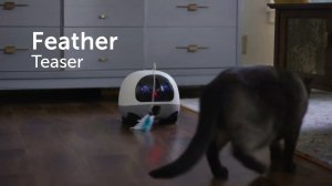 VAVA Mobile - робот для наблюдения за домашними животными