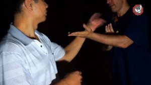 СКРЕЩИВАЯ РУКИ. Фуцзяньский белый журавль (Минхэ). Чжан Дьенбяо и Юрий Сенчуков