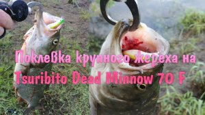 Поклевка крупного жереха на Tsuribito Dead Minnow 70F