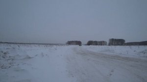 Две пары Pride Diamond 8 от Pride fr 600/2