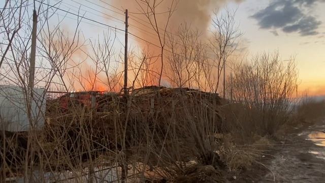 Мини-погрузчик растаскивает отходы лесопиления смотреть онлайн