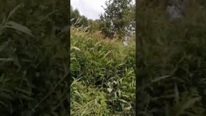 самодельная стойка для мотобура!