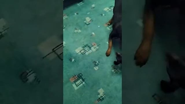 Бой без правил смотреть онлайн