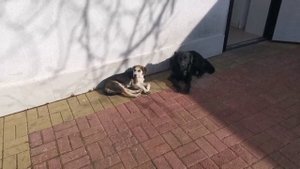 Как пройти в библиотеку