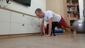 Почему люди и животные привлекают внимание, борются или мстят? Марафон Планка30 французский бульдог