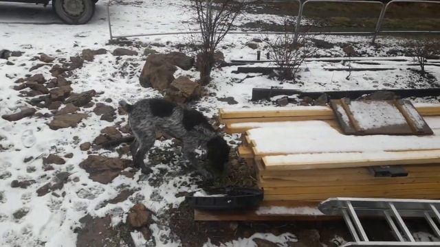 бесполезное видео