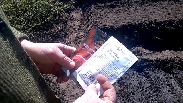 Огородные дела .Подключили скважину .Сеем морковку . смотреть онлайн