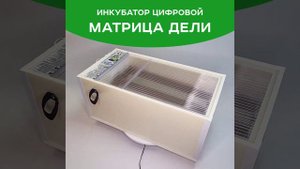 Дели Матрица