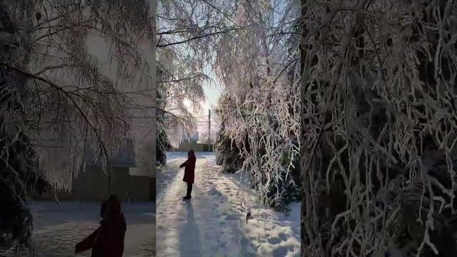 Зимняя сказка  #снег#зима #зимняякрасота