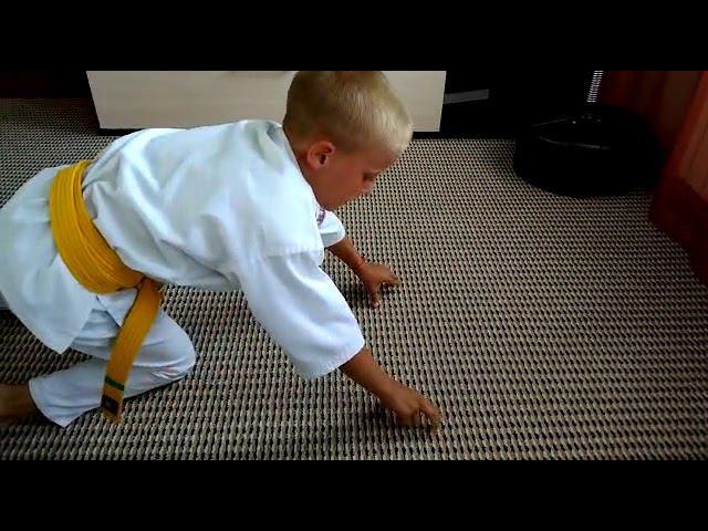 Способы отжиманий Киокушинкай каратэ ️⚔️