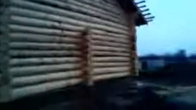 Сборка сруба в Воронежской обл. часть 3. 89271904521 смотреть онлайн