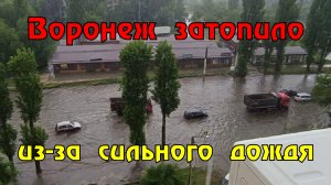 Улицы Воронежа ушли под воду из-за сильного дождя