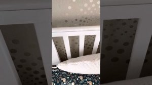 Обзор на кроватку happy baby mommy love