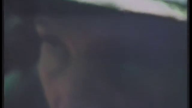 Vietnam War: Battle for "Hill 943" Part 1 (Combat Footage) смотреть онлайн