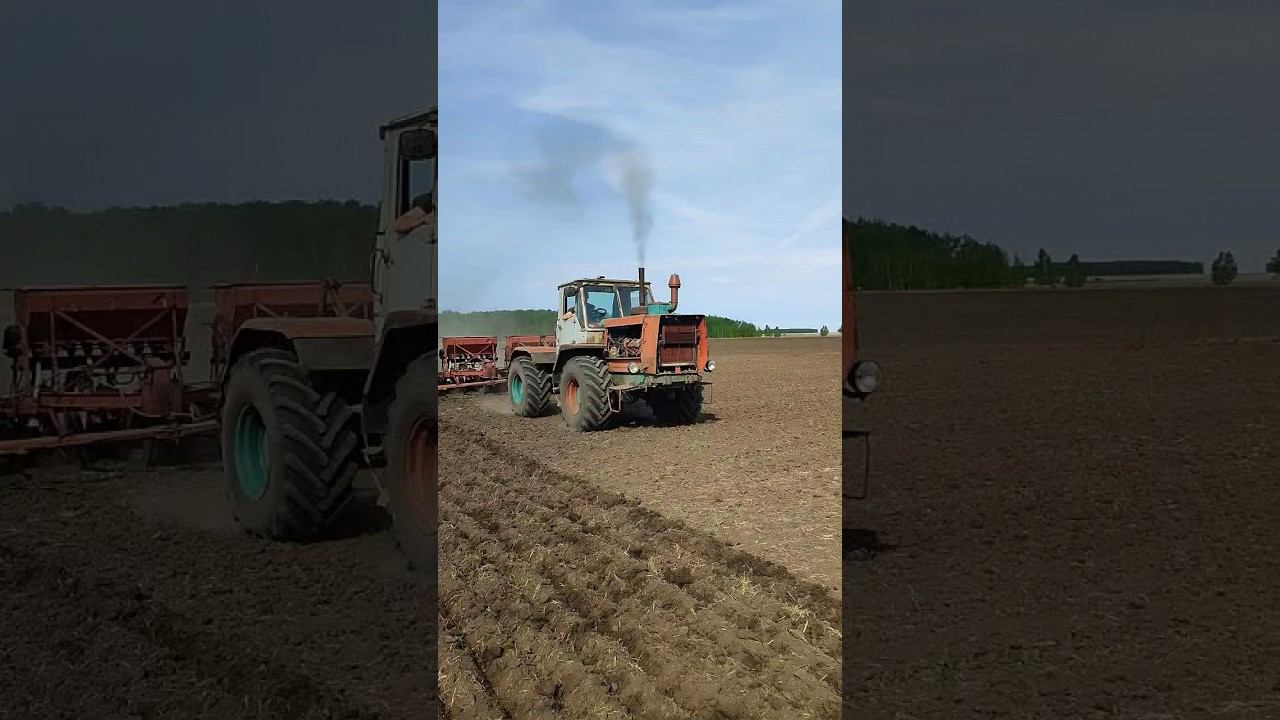 #т150к с смд 62 на посевной смотреть онлайн