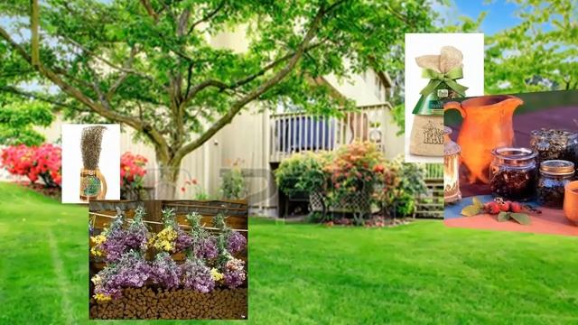 Какой подарок подарить любителю бани? Аксессуары для бани смотреть онлайн