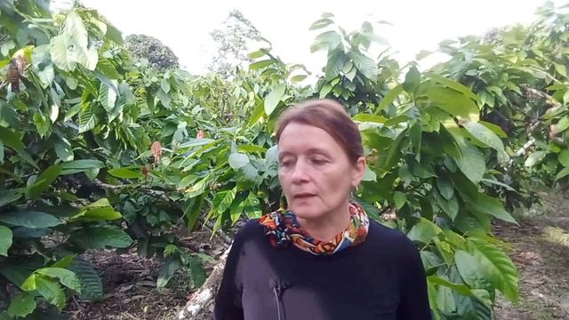 Как эта Практика Изменит Вашу Жизнь//Дневник Благодарности  и успеха