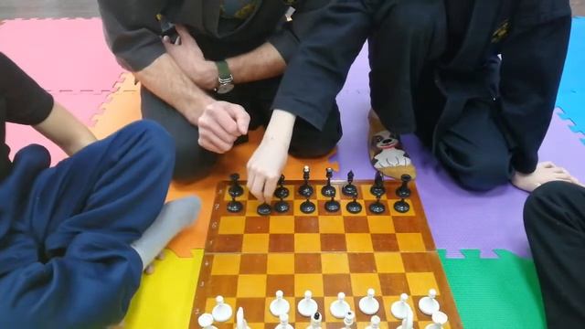 Шахматы. Урок для начинающих шахматистов.