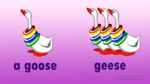 Множественное число существительных.Исключения