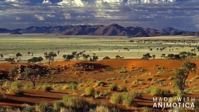 Африка.Africa.