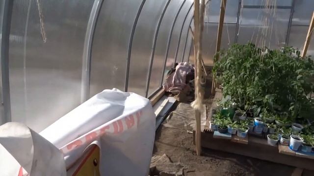 Теплица в Западной Сибири 15 апреля смотреть онлайн