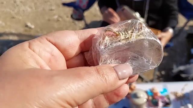 Удачный ПОХОД на БЛОШИНЫЙ РЫНОК в ИЗРАИЛЕ, ВИНТАЖ и АНТИКВАРИАТ за БЕСЦЕНОК смотреть онлайн