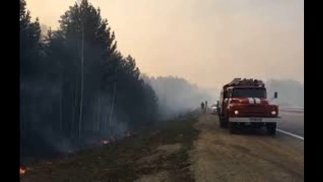 Бережіть легені нашої планети! смотреть онлайн